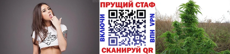 Все наркотики Вяземский Бошки Шишки  МЕФ  Гашиш 
