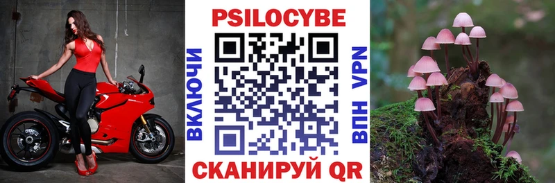 площадка Telegram  Вяземский  Псилоцибиновые грибы GOLDEN TEACHER  ОМГ ОМГ как войти 